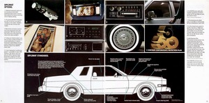 1980 Dodge Diplomat-08-09.jpg